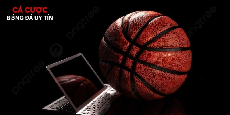Sơ lược thông tin về dạng kèo bóng rổ NBA